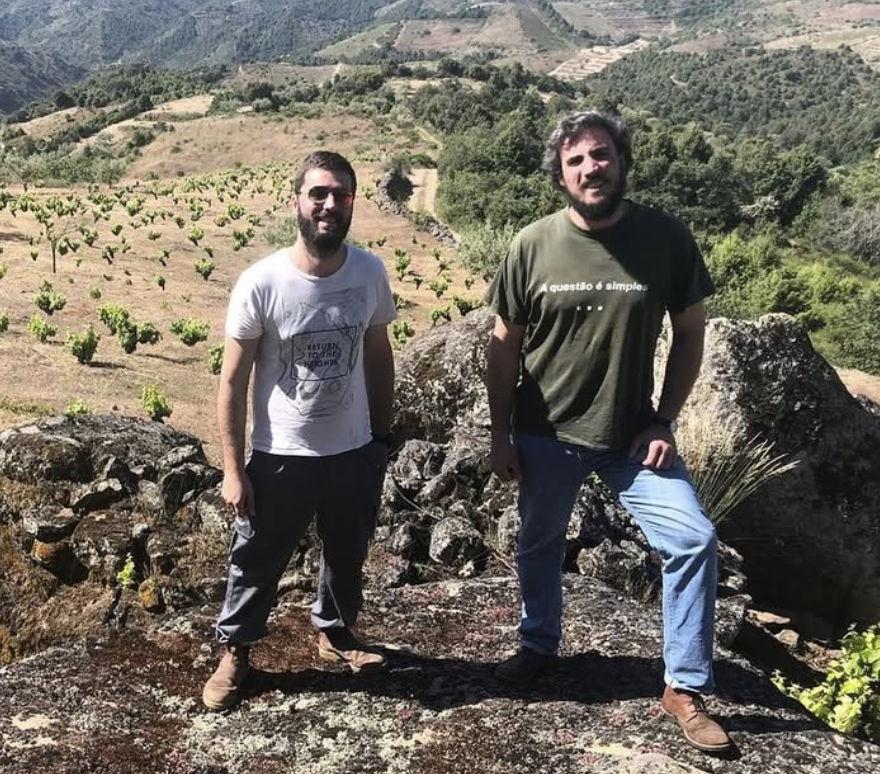 Arribas Wine Company